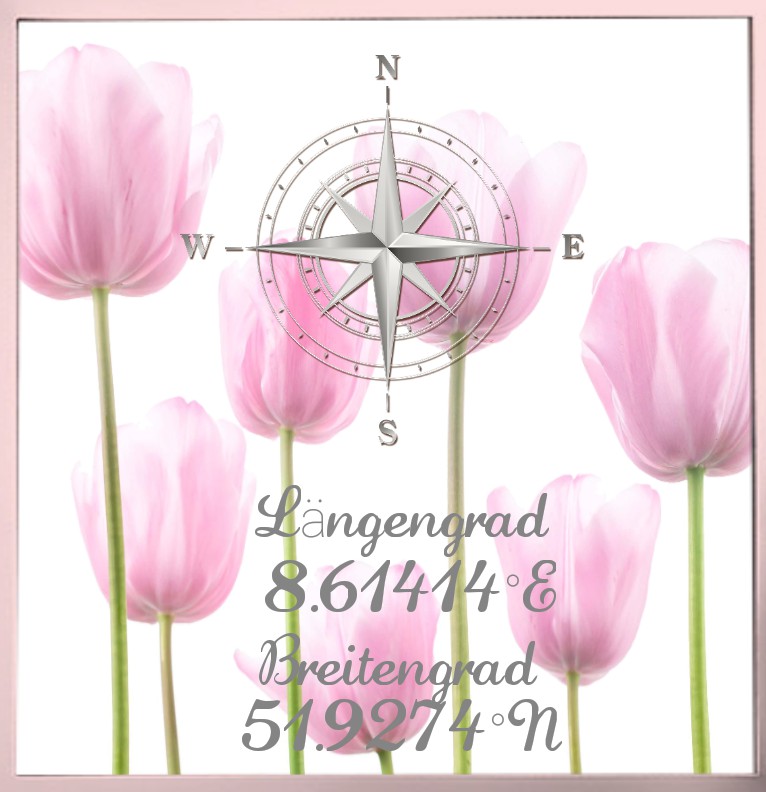 System 1 Tulpen Fruehling 