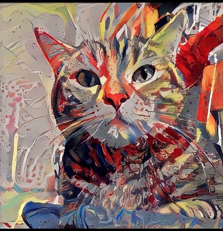 meow