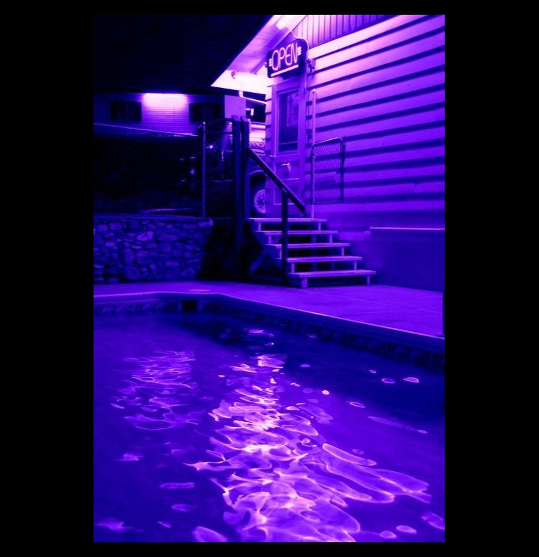 neon purple