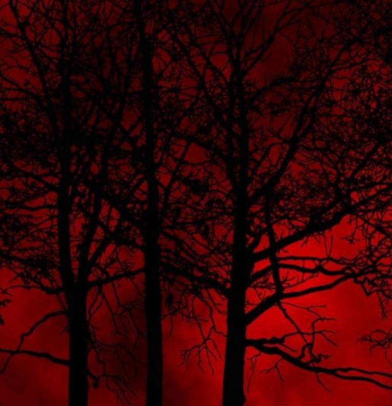red wood