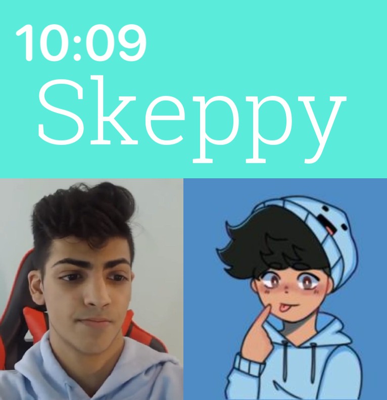 skeppy widget