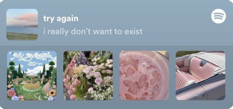 spotify aesthetic