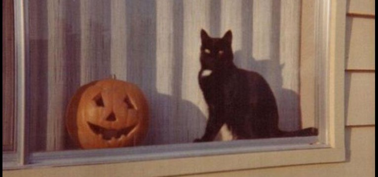 halloween kitty 