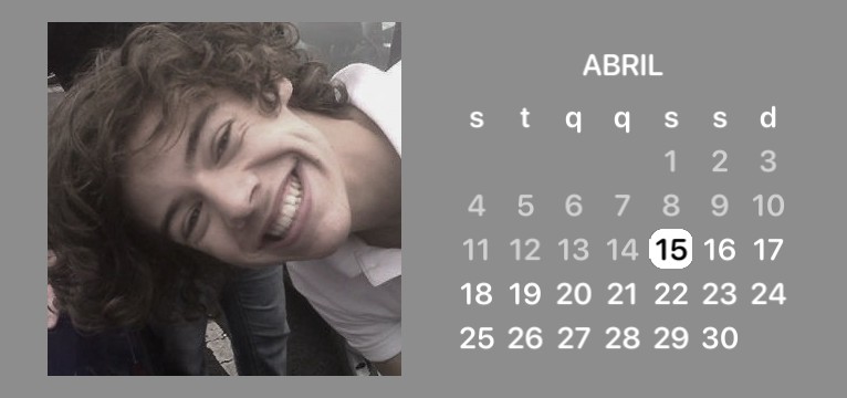 Harry styles gray calendar 