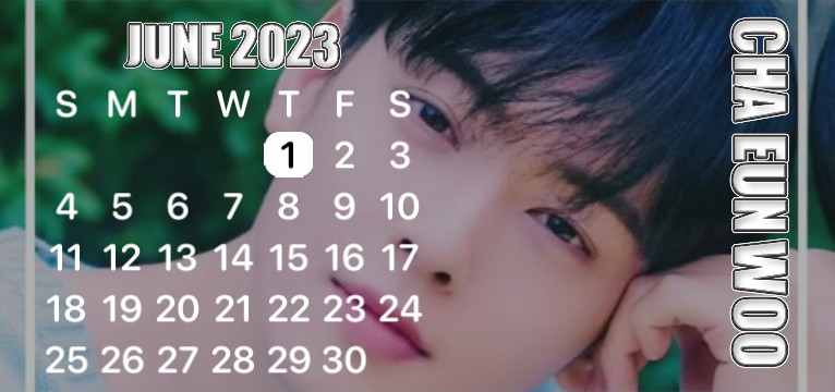Cha Eun Woo
