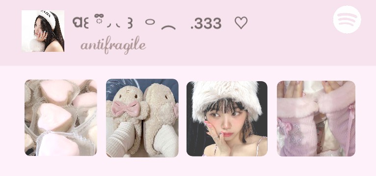 widget spotify 
