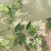 Green pinterest