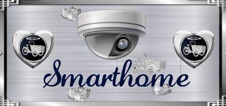 Smarthome 1 Lastenfahrrad 