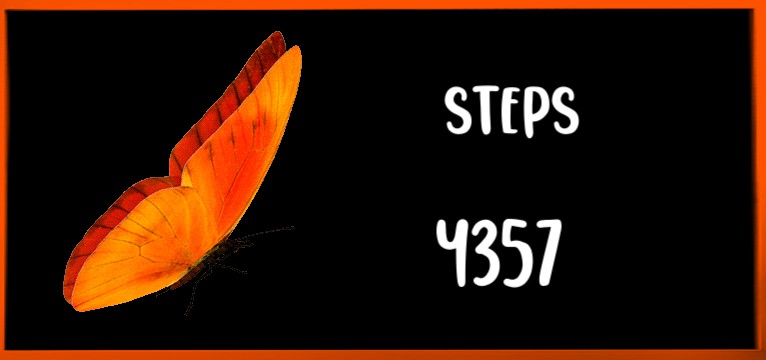 Steps Butterfly Orange 
