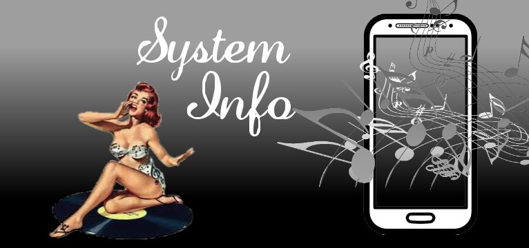 System Info Sound LP Pin Up 
