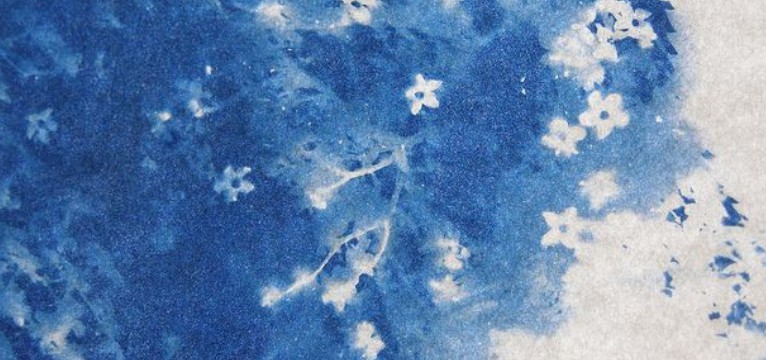 blue flower widget