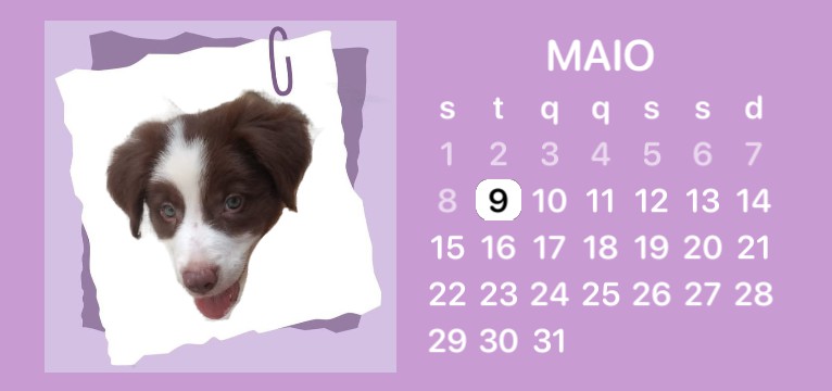 Dog Calendar