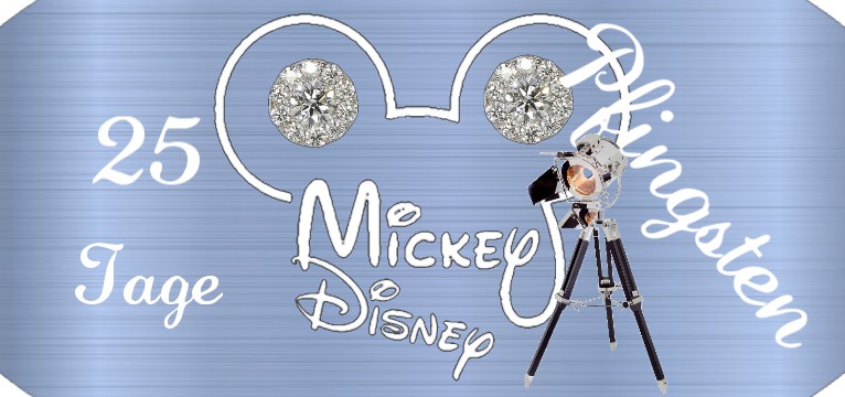 Counter Mickey Luxus 1