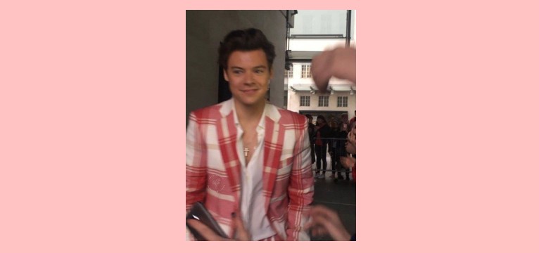 harry pink 