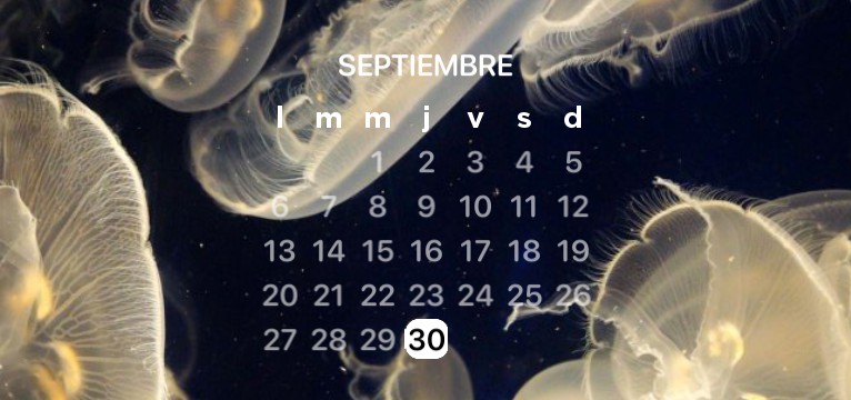 calendar 