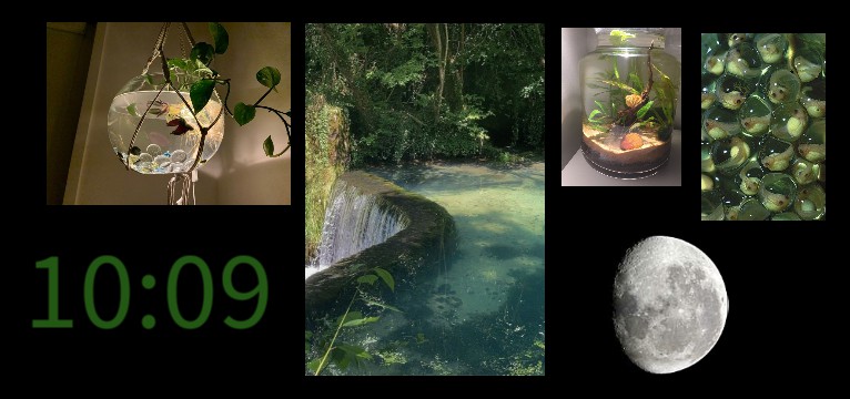 aesthetic green