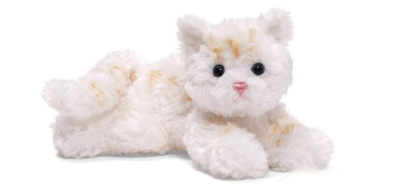 cat nwn