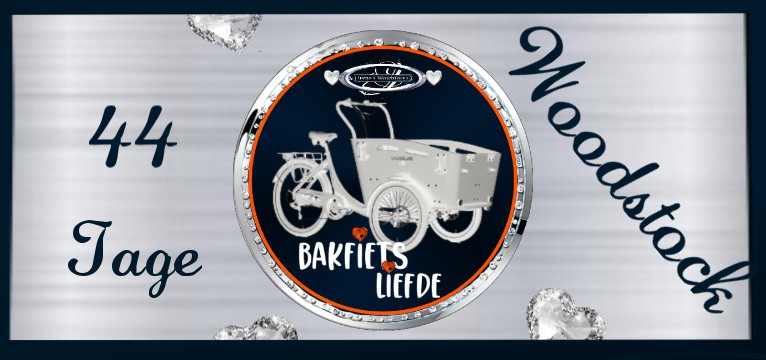 Counter Bakfiets ZFLIP 1