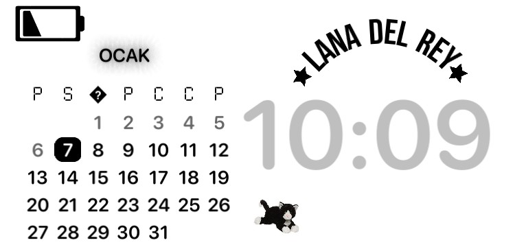 lana del rey