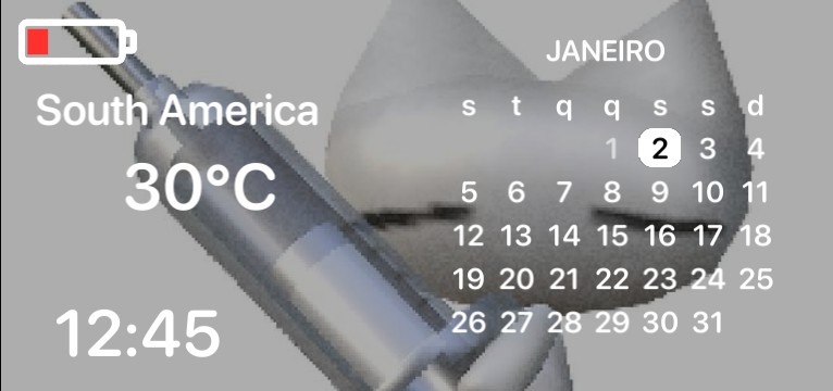 calendar widget 