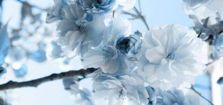 blue