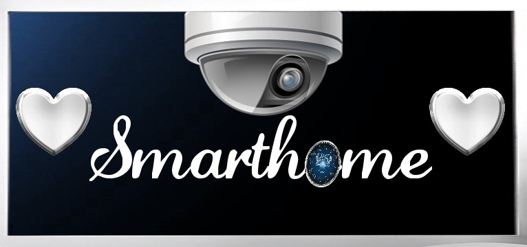 Smarthome Gemini 2
