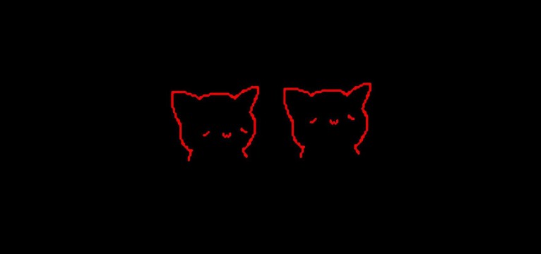 2 kittens