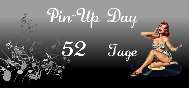 Counter Sound LP Pin Up 