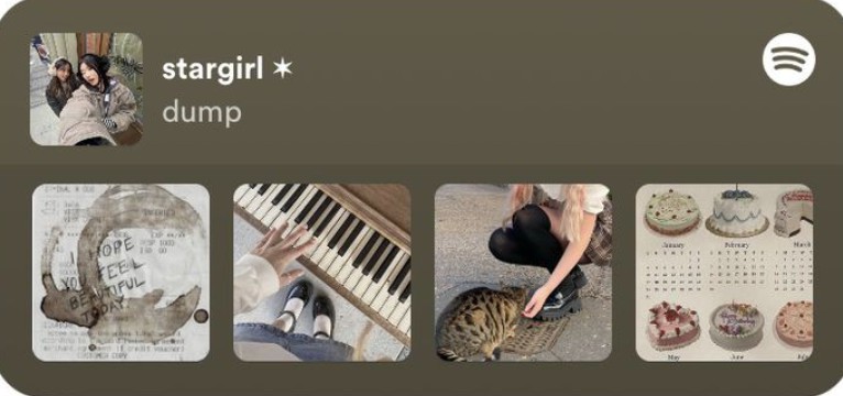 brown spotify