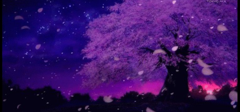Anime vibes purple sakura