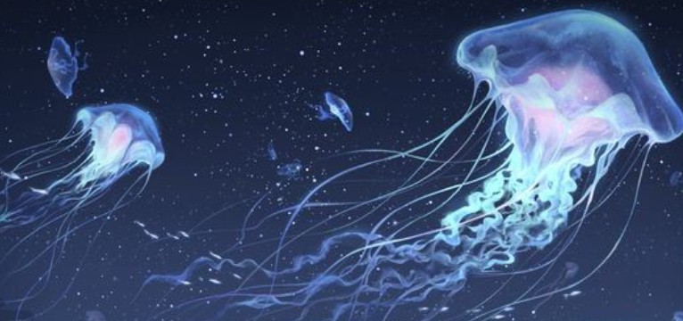 meduses in the sky