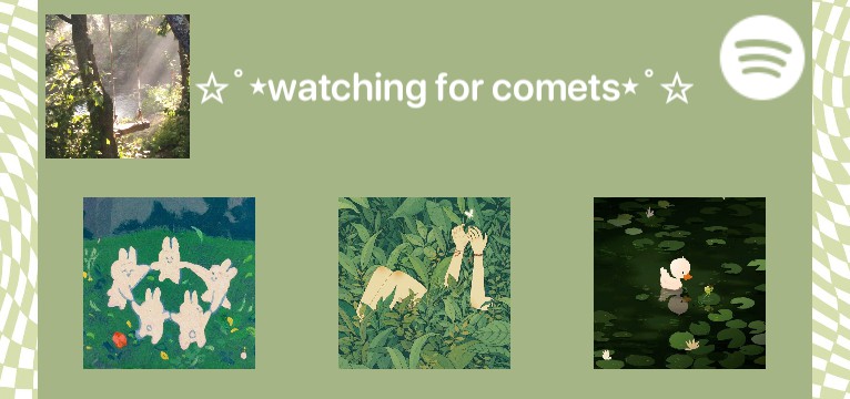 functional green music widget