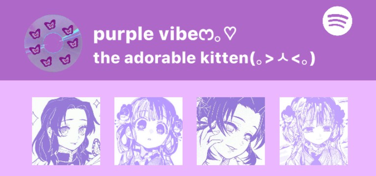Spotify widget