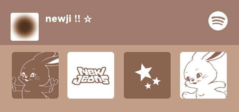spotify newjeans widget brown