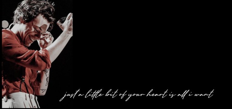 harry styles widget 