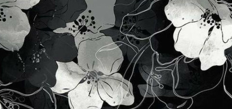 black and white flowers