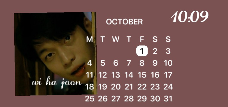 wi ha joon