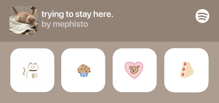 spotify brown widget ios Copy