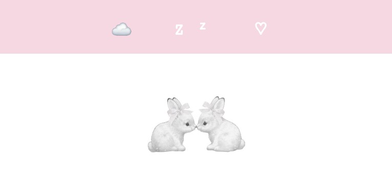cute bunny 