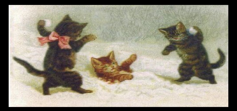 brrbrrr111111