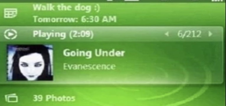 Evanescence going under