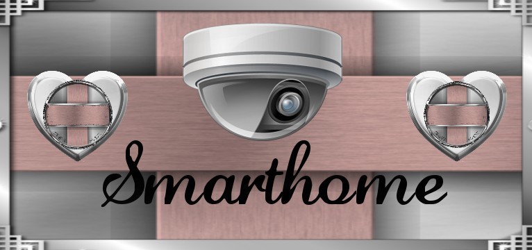 Smarthome 1 Swiss Made 