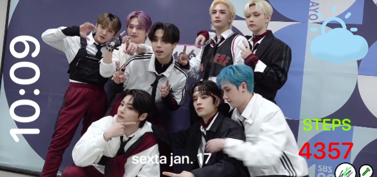 Stray Kids ot8