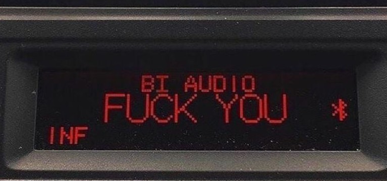 Fuck you 