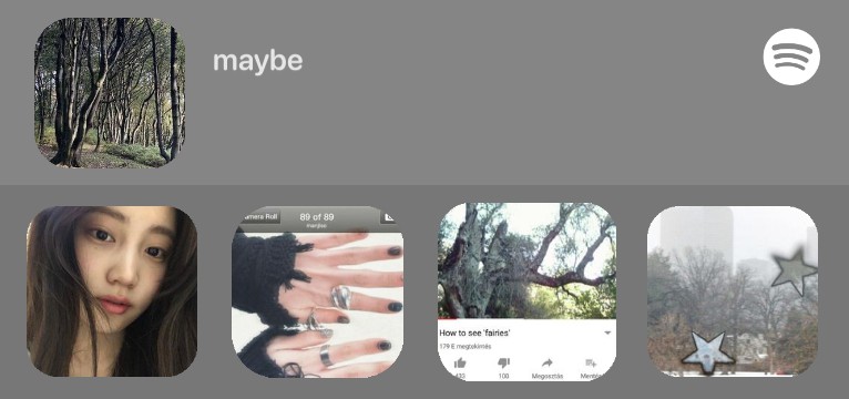 spotify widget 