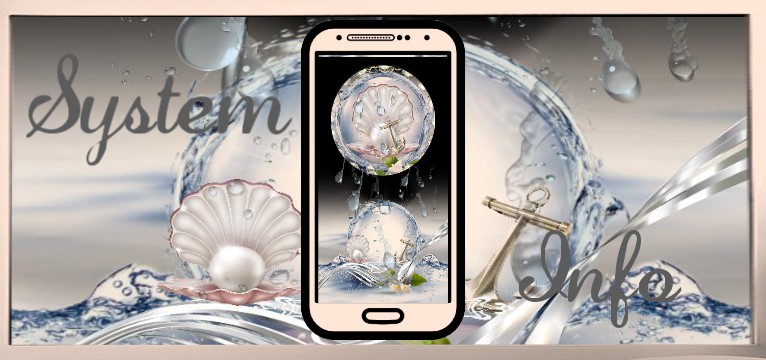 System Info Seashell  