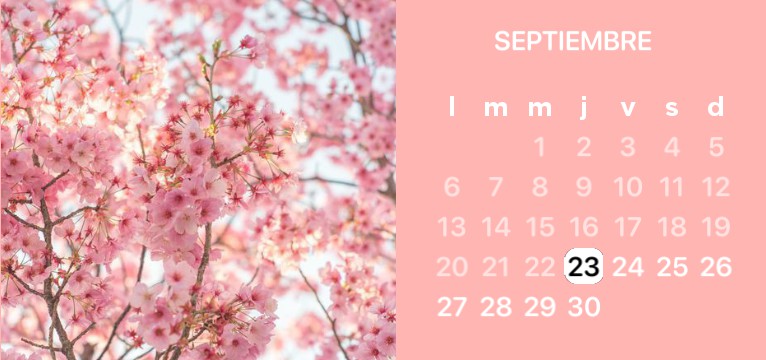 Cherry calendar espaol