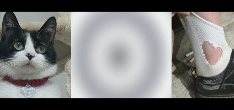 04