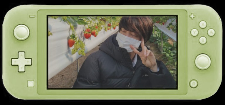 Green Nintendo Switch Widget