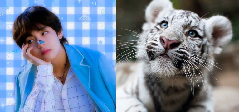 tae tiger